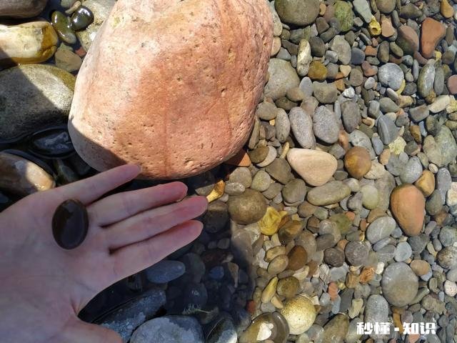 去海边玩都应该带些什么东西