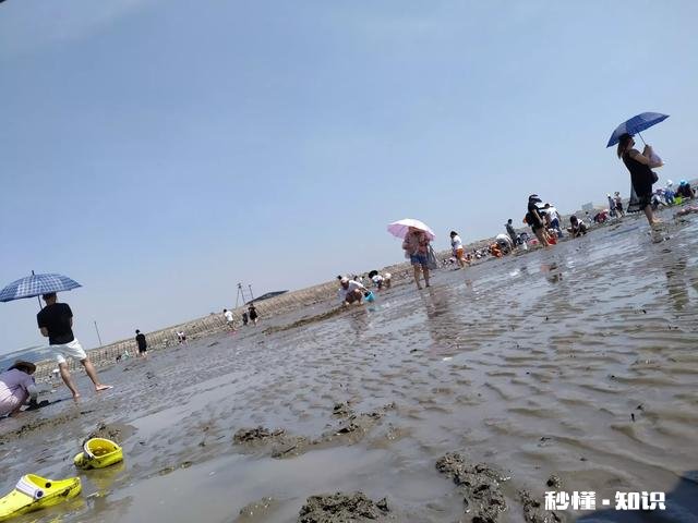 去海边玩都应该带些什么东西