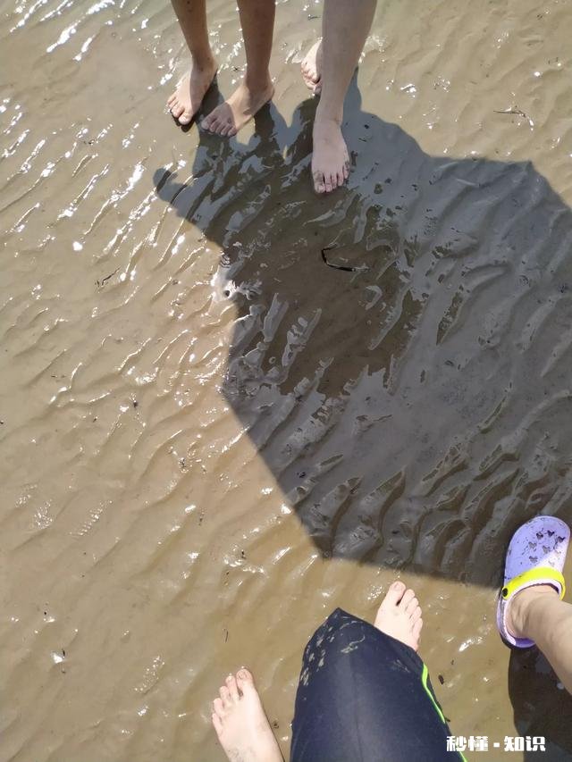 去海边玩都应该带些什么东西