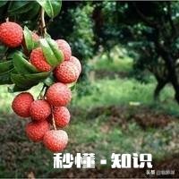 有人说在中国，在家里男人当不清女人的家，在外女人当不清男人家，这个到底是什么原因