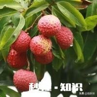 有人说在中国，在家里男人当不清女人的家，在外女人当不清男人家，这个到底是什么原因