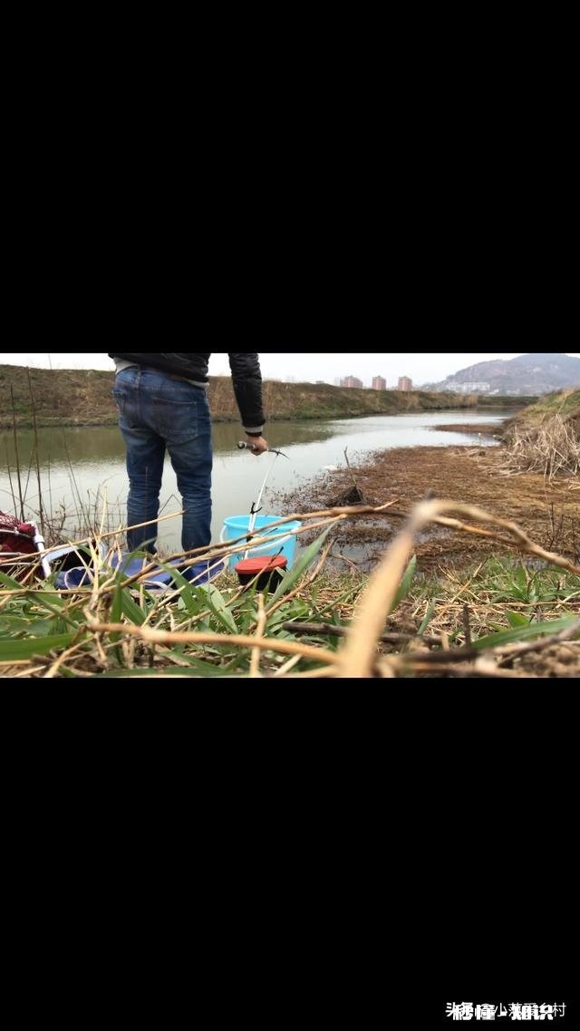 各位钓友大神们，你们钓获最高记录是多少有什么技巧分享