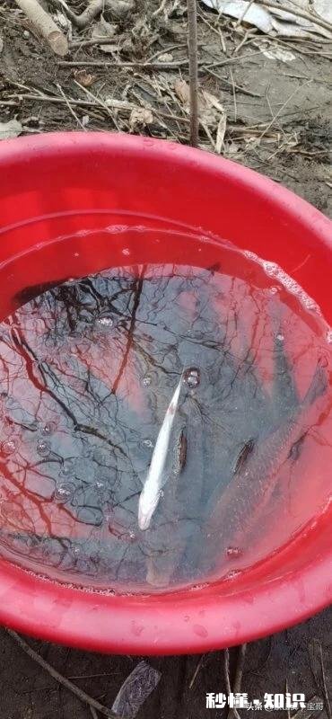 各位钓友大神们，你们钓获最高记录是多少有什么技巧分享