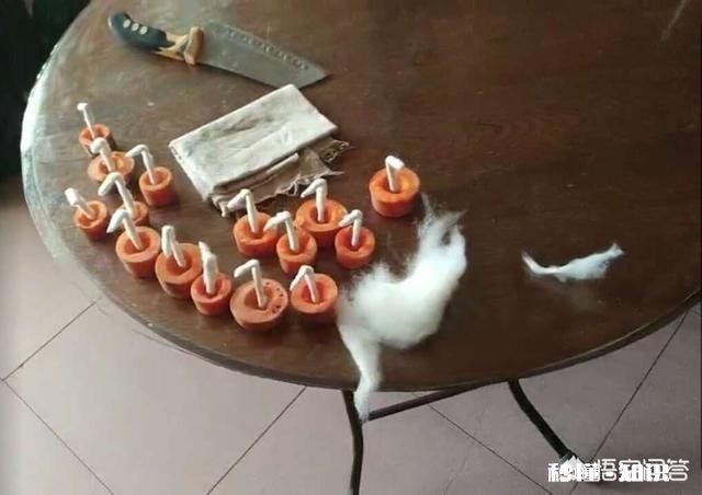 正月十五有哪些习俗