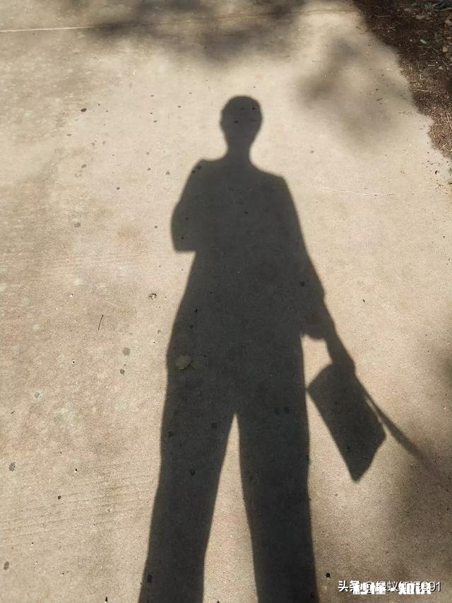 谁有男星唱的温柔伤感的歌曲能发几首过来欣赏一下吗