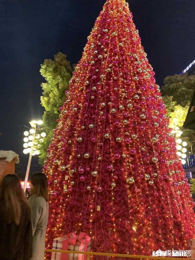 科目三挂了三次，很烦，该怎么办