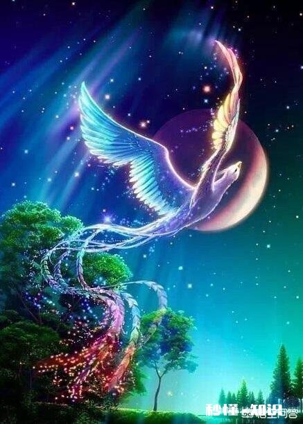 是否有那么一刻，觉得灵魂跟不上肉身