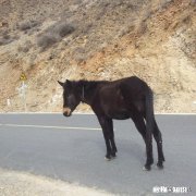 作为一名念旧的人，怎么样才能放下过去