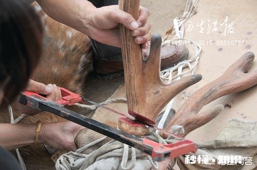 怎样提高鹿茸的产量它的功效和作用有哪些