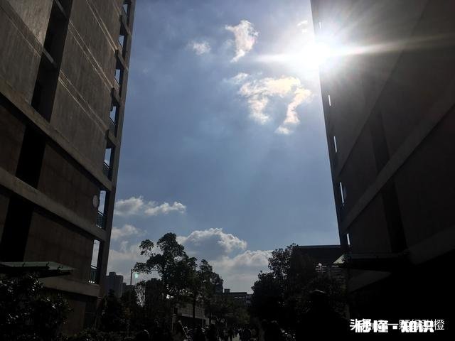 如果你后悔嫁错人怎么办