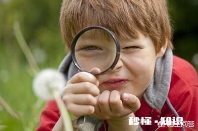 父母从哪些方面培养孩子良好的心理素质