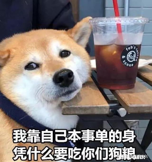 在农村25至29岁单身男青年太多怎么办好