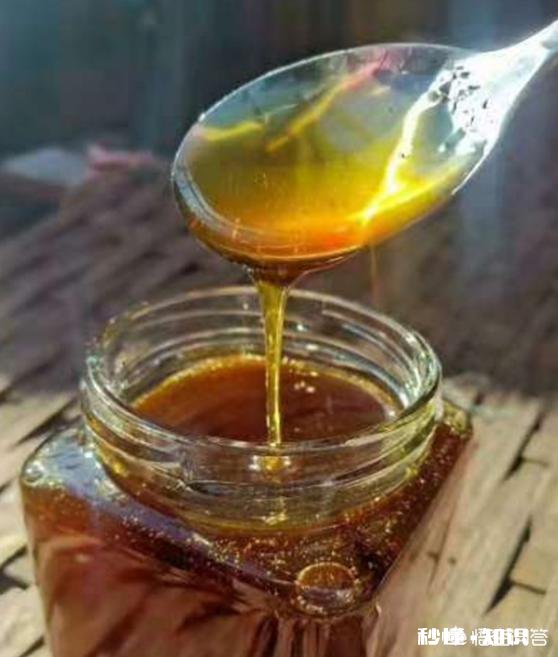 18年大山深处的野生蜂蜜价格怎么样