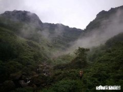 18年大山深处的野生蜂蜜价格怎么样