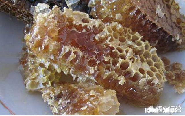 18年大山深处的野生蜂蜜价格怎么样