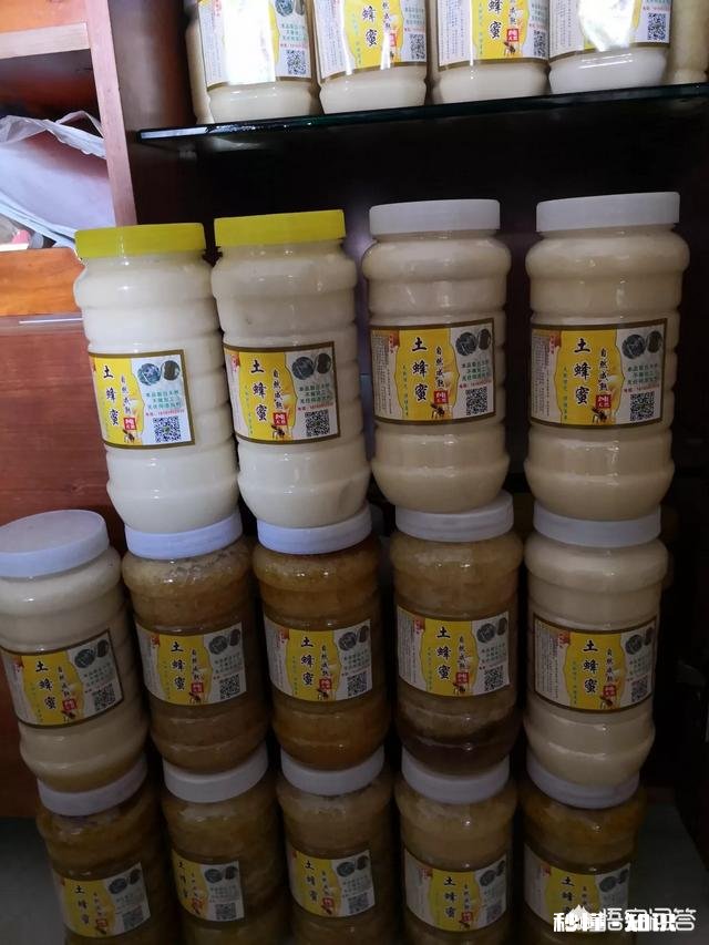 18年大山深处的野生蜂蜜价格怎么样