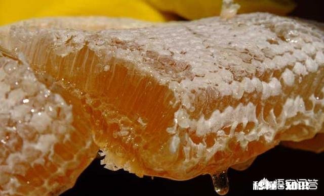 18年大山深处的野生蜂蜜价格怎么样