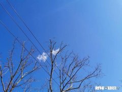 通过这次疫情延迟开学，孩子天天在家，如果让你做老师这个工作，你能做好吗为什么