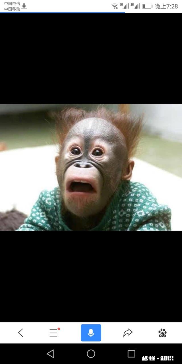 自驾从绵竹至秦岭不走高速怎么走