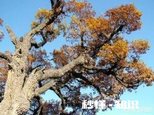 晋中附近有什么好玩的求推荐