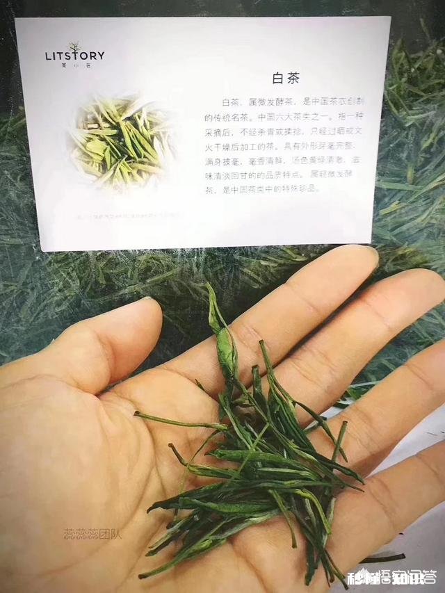 33岁，油皮，偶尔长痘，有没有推荐的护肤品