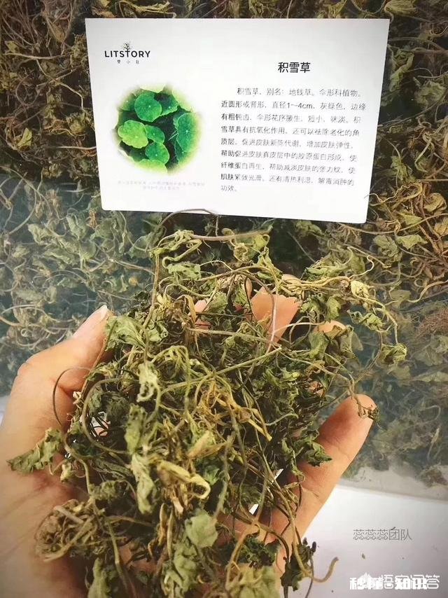 33岁，油皮，偶尔长痘，有没有推荐的护肤品
