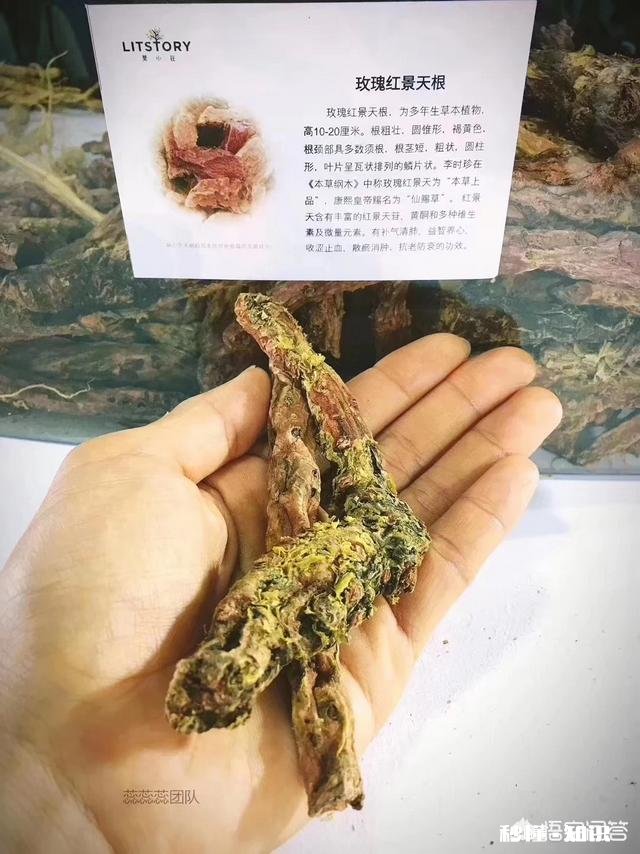 33岁，油皮，偶尔长痘，有没有推荐的护肤品