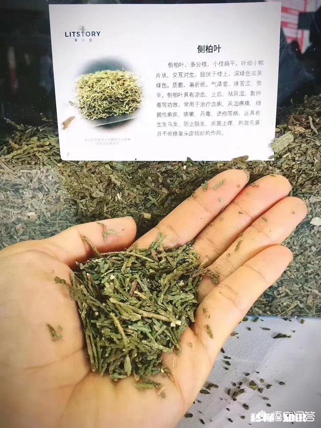 33岁，油皮，偶尔长痘，有没有推荐的护肤品