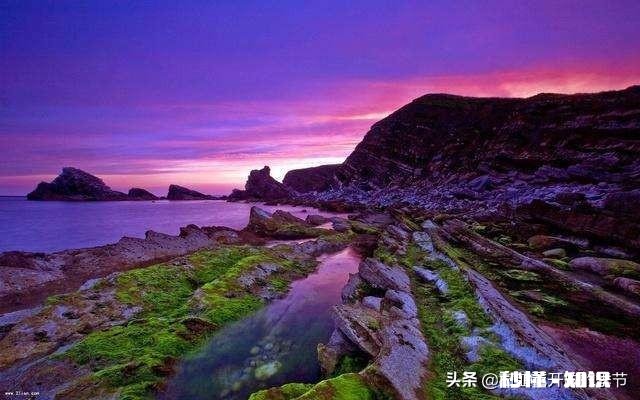 和老公出去旅游应该带上婆婆吗