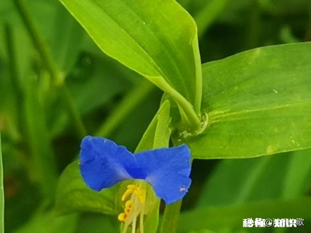 为什么最近两年有那么多人玩今日头条，有那么大魔力