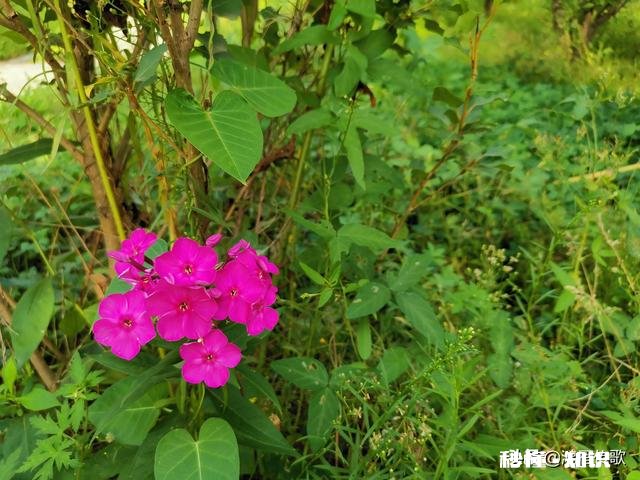 为什么最近两年有那么多人玩今日头条，有那么大魔力