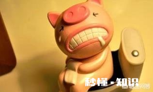 如何通过饮食来解决便秘