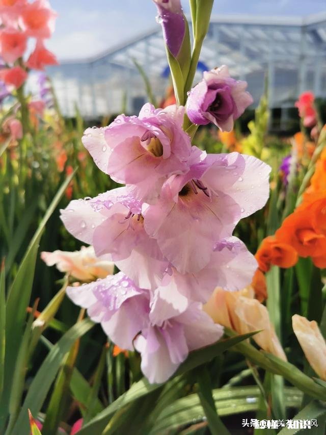 你有没有拍过漂亮的雨天，我们大家一起分享一下照片吧