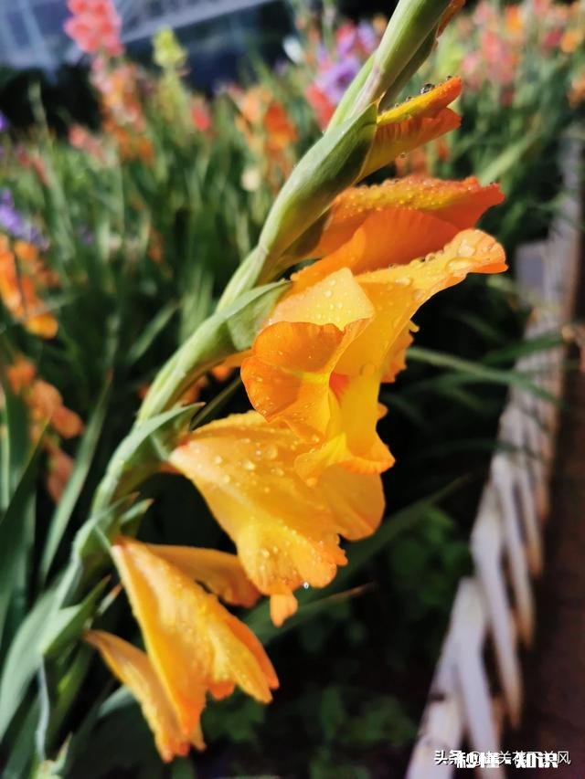 你有没有拍过漂亮的雨天，我们大家一起分享一下照片吧