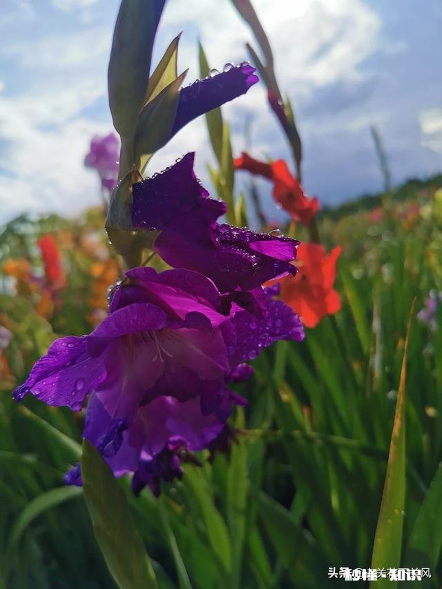 你有没有拍过漂亮的雨天，我们大家一起分享一下照片吧