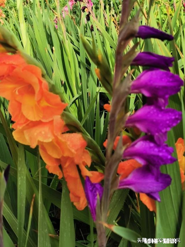 你有没有拍过漂亮的雨天，我们大家一起分享一下照片吧