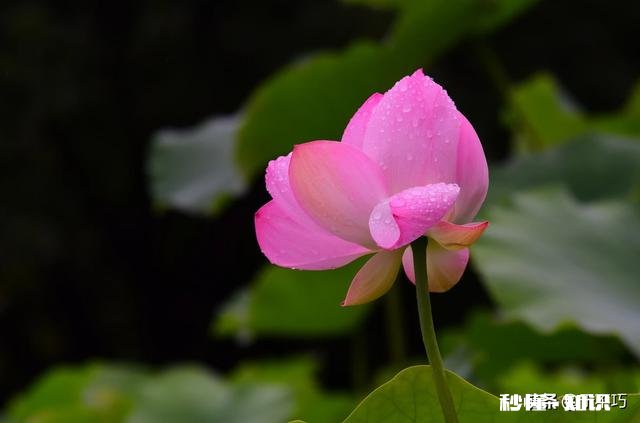 你有没有拍过漂亮的雨天，我们大家一起分享一下照片吧