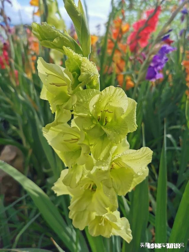 你有没有拍过漂亮的雨天，我们大家一起分享一下照片吧