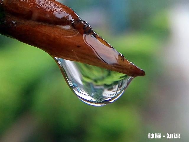 你有没有拍过漂亮的雨天，我们大家一起分享一下照片吧