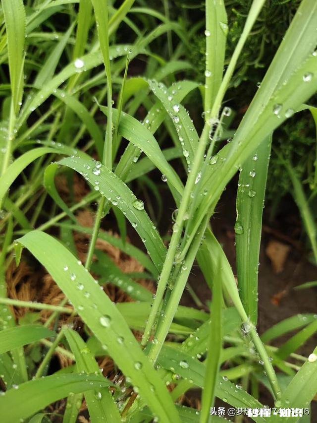 你有没有拍过漂亮的雨天，我们大家一起分享一下照片吧