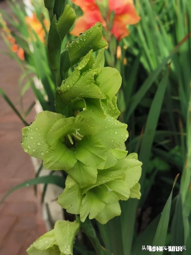 你有没有拍过漂亮的雨天，我们大家一起分享一下照片吧