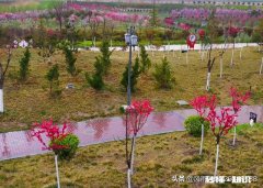 你有没有拍过漂亮的雨天，我们大家一起分享一下照片吧