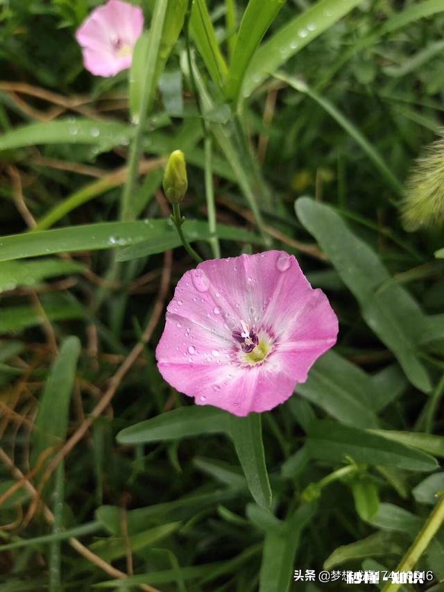你有没有拍过漂亮的雨天，我们大家一起分享一下照片吧