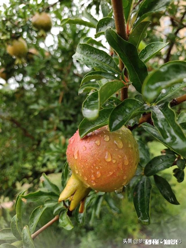 你有没有拍过漂亮的雨天，我们大家一起分享一下照片吧