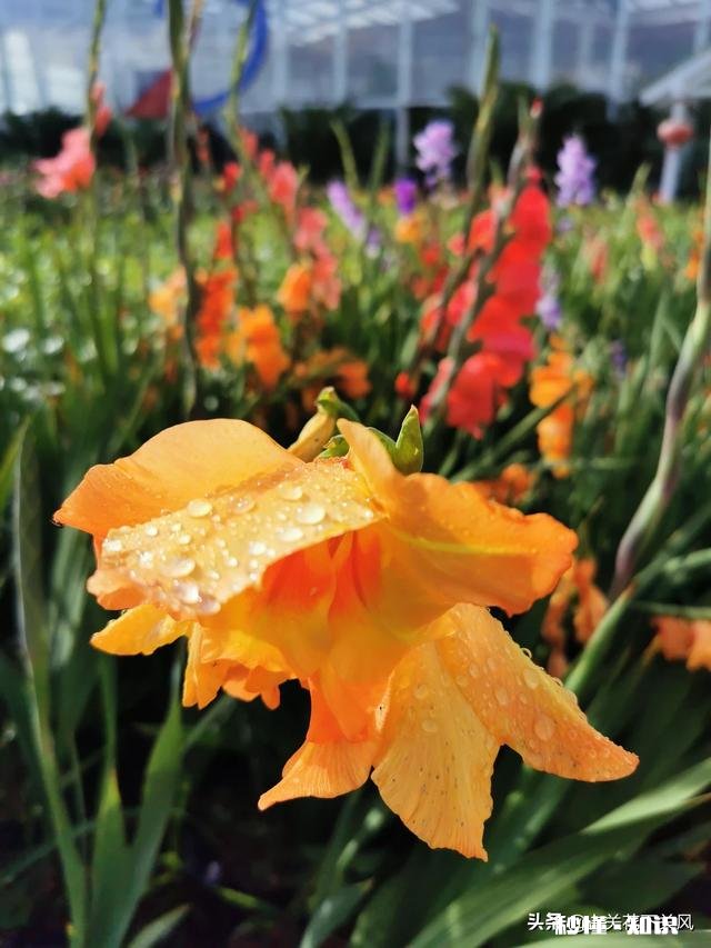 你有没有拍过漂亮的雨天，我们大家一起分享一下照片吧