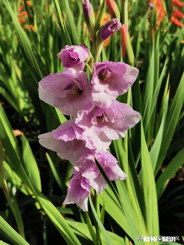 你有没有拍过漂亮的雨天，我们大家一起分享一下照片吧