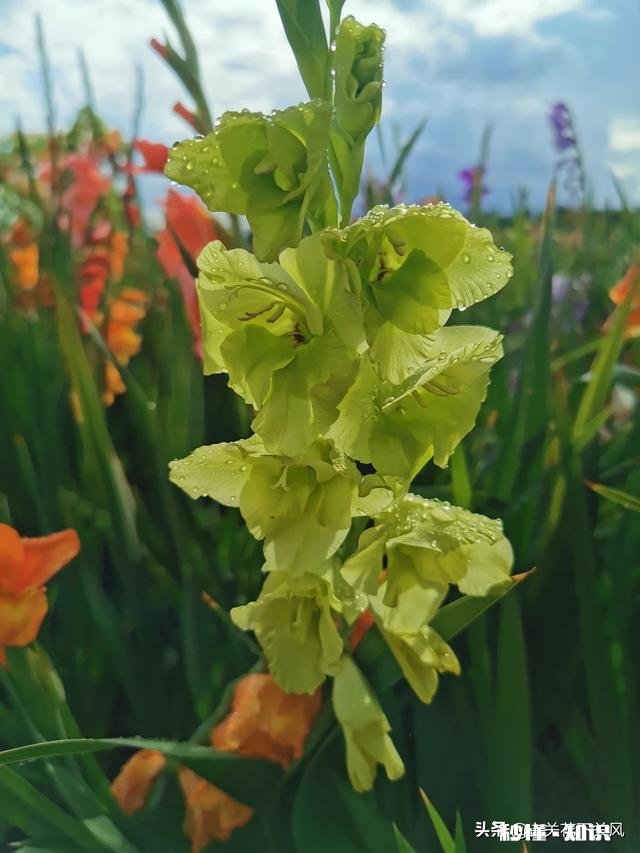 你有没有拍过漂亮的雨天，我们大家一起分享一下照片吧