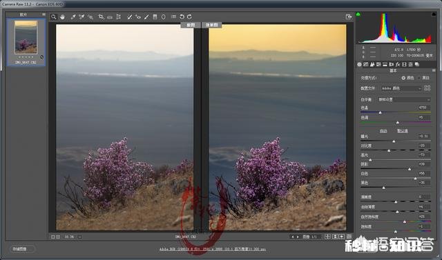 摄影修图如何让照片渐变，还不违和