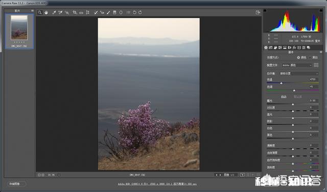 摄影修图如何让照片渐变，还不违和