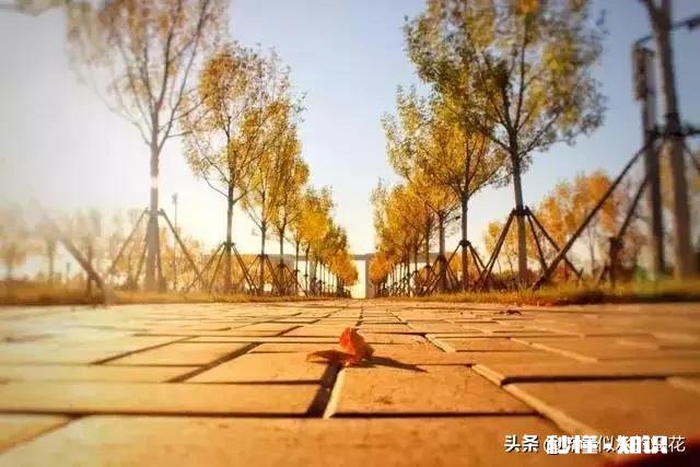 每天都处在崩溃的状态怎么办，我想哭，又不敢哭，怕被爸爸看到，只要是自己一个人的时间都会哭，崩溃